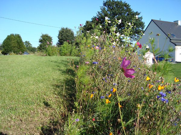 prairie fleurie 35